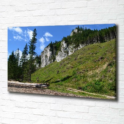 Canvas wall art Rocky peaks