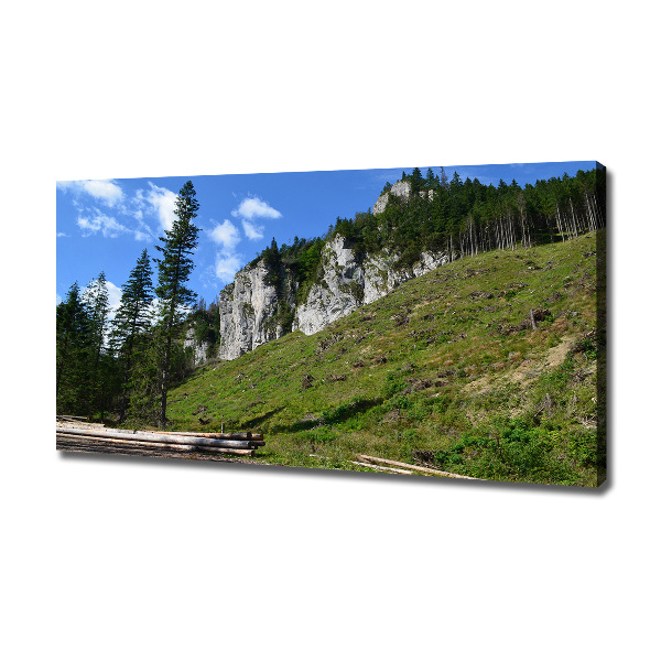 Canvas wall art Rocky peaks