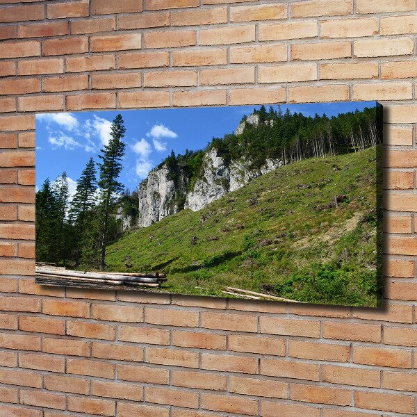 Canvas wall art Rocky peaks