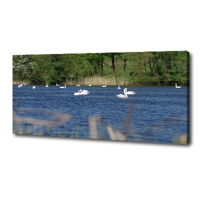 Canvas wall art White swans