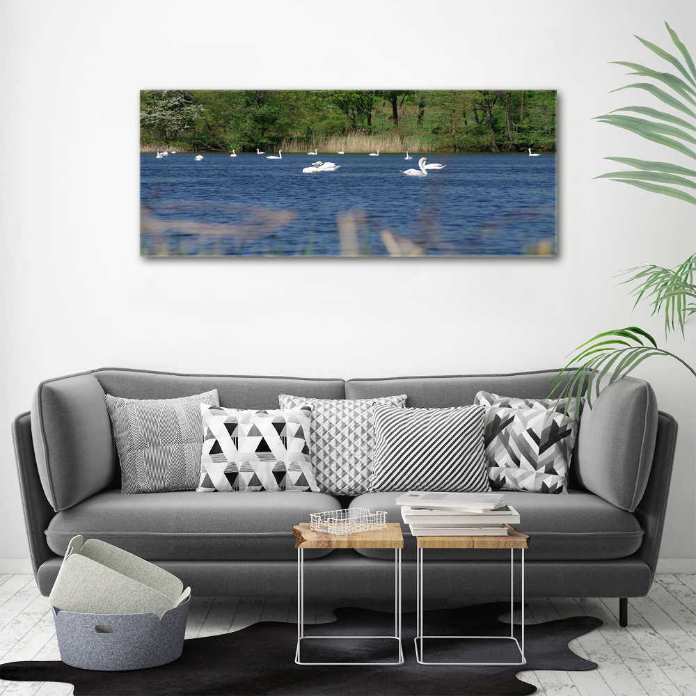 Canvas wall art White swans