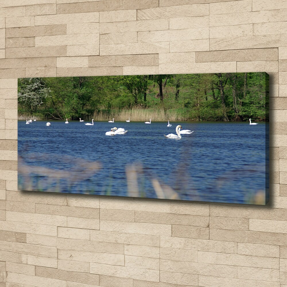 Canvas wall art White swans