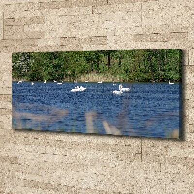 Canvas wall art White swans