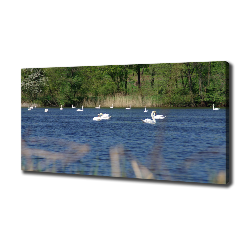 Canvas wall art White swans