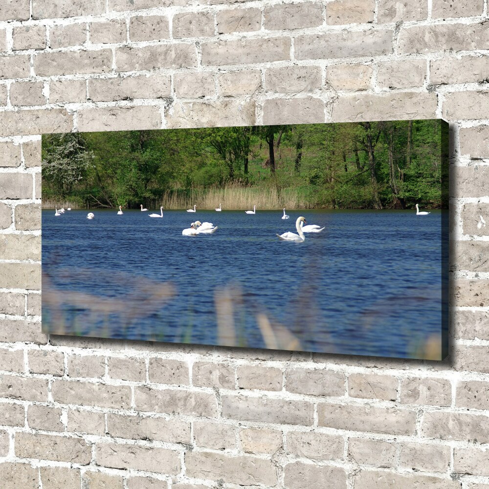 Canvas wall art White swans