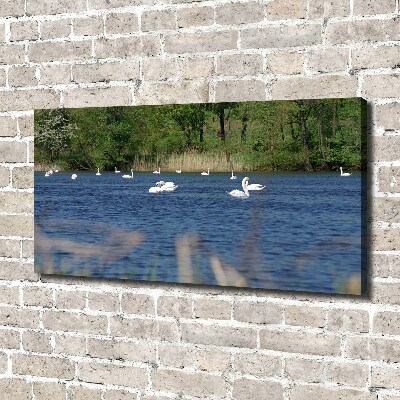 Canvas wall art White swans