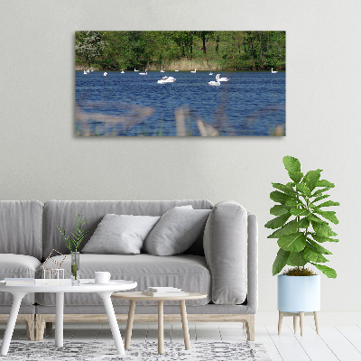 Canvas wall art White swans