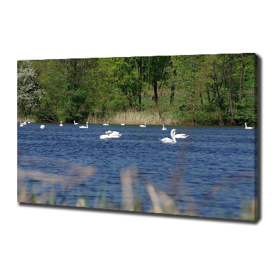 Canvas wall art White swans