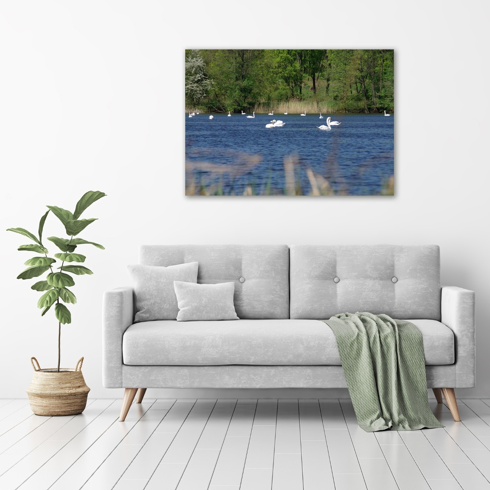 Canvas wall art White swans