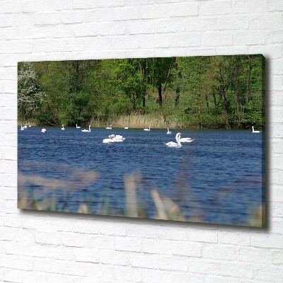 Canvas wall art White swans