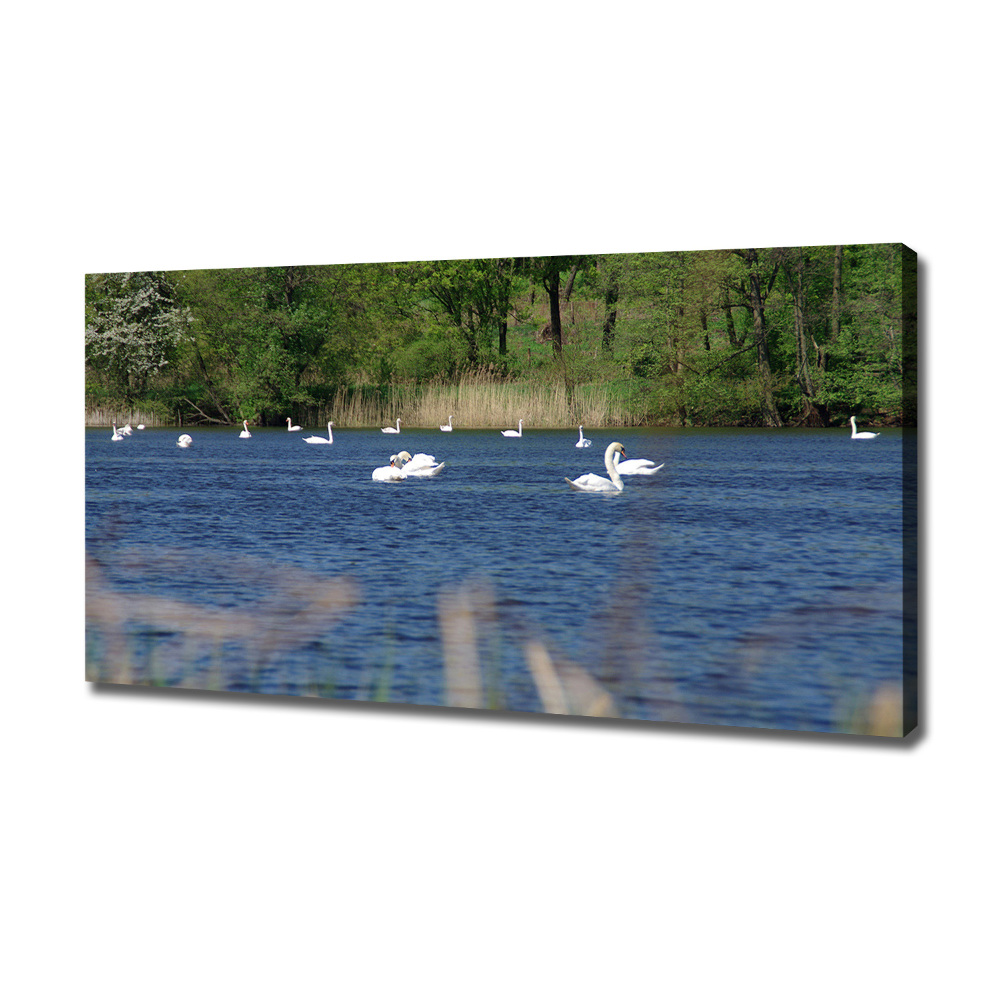 Canvas wall art White swans