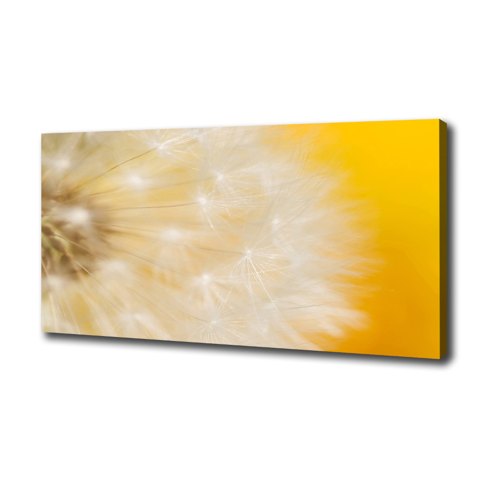 Canvas wall art Dandelion