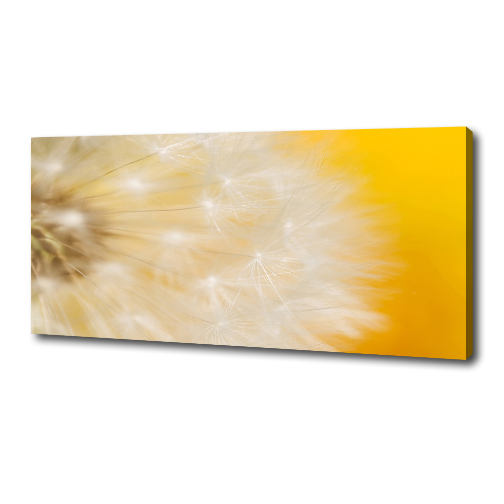 Canvas wall art Dandelion