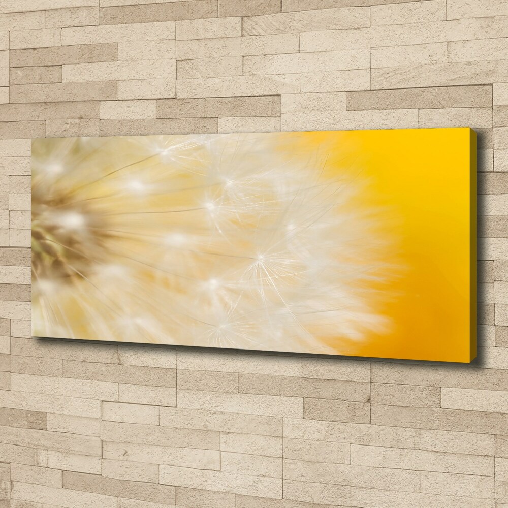 Canvas wall art Dandelion