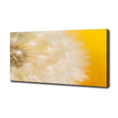 Canvas wall art Dandelion