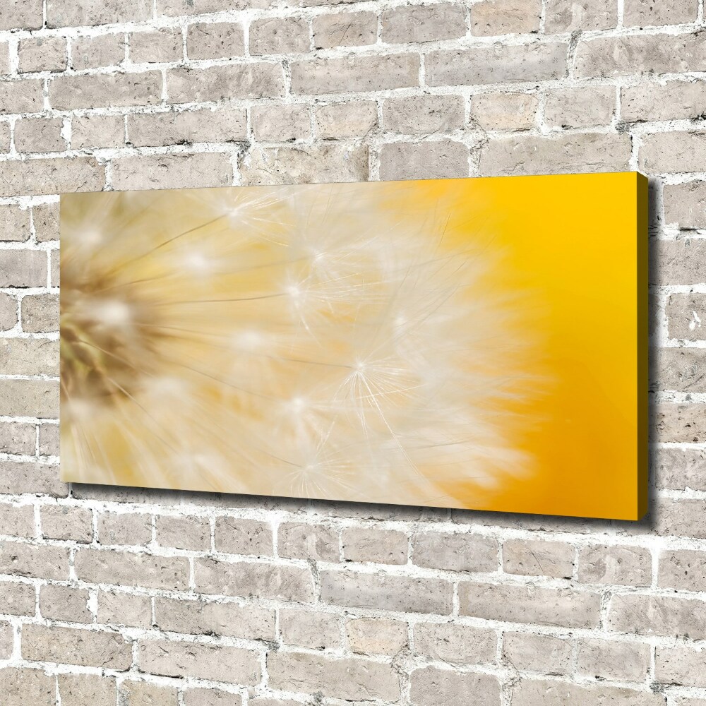 Canvas wall art Dandelion