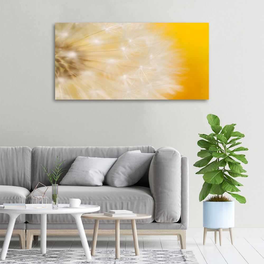 Canvas wall art Dandelion