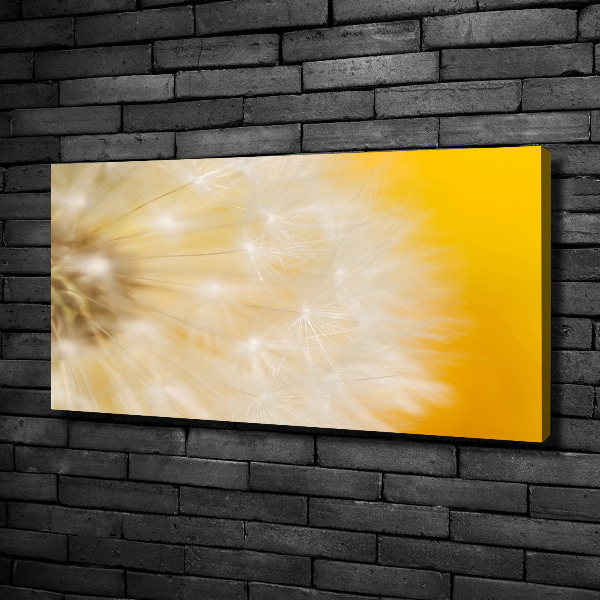 Canvas wall art Dandelion