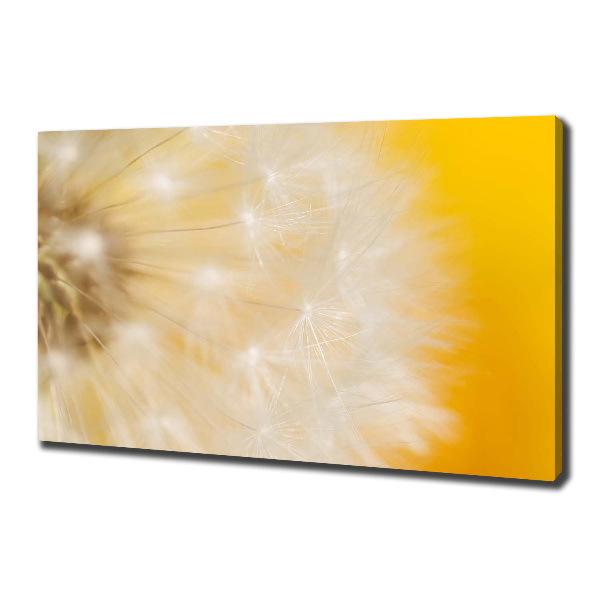 Canvas wall art Dandelion