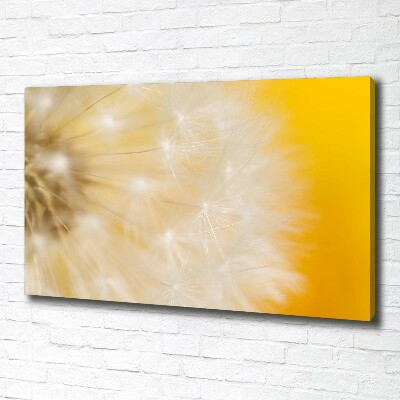 Canvas wall art Dandelion