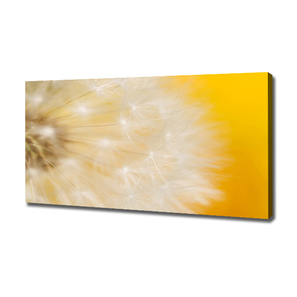 Canvas wall art Dandelion