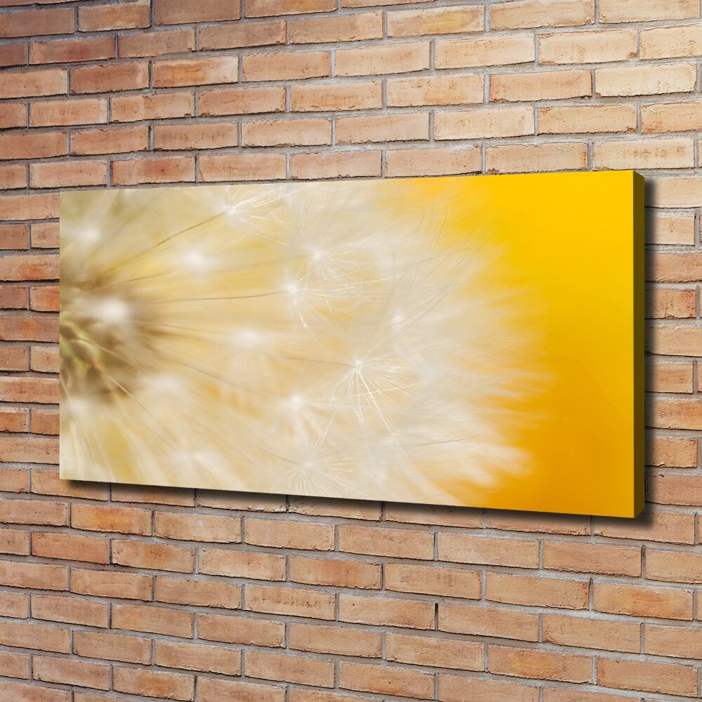 Canvas wall art Dandelion