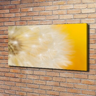 Canvas wall art Dandelion