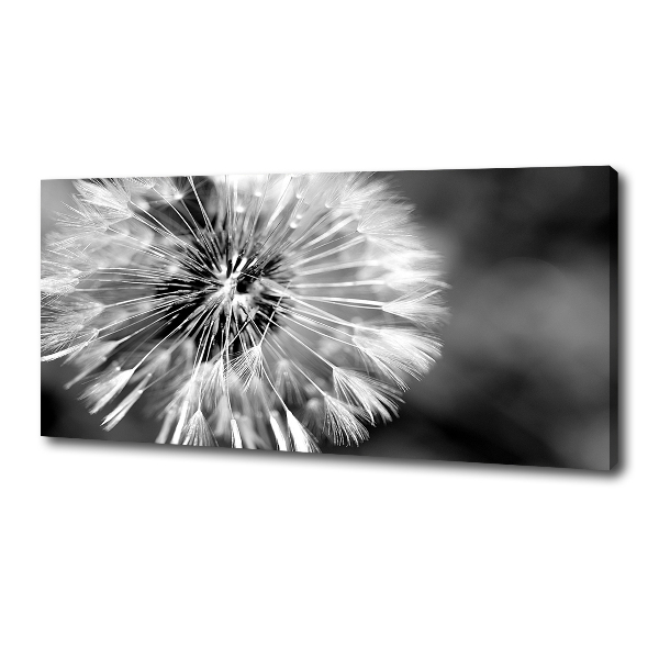 Canvas wall art dandelions