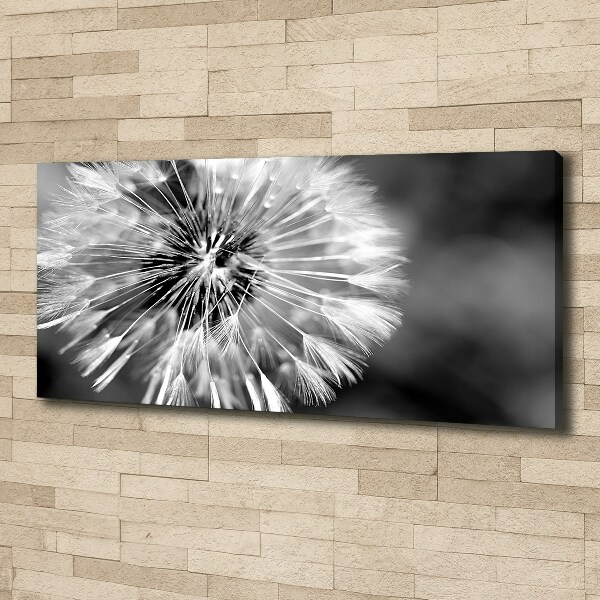 Canvas wall art dandelions