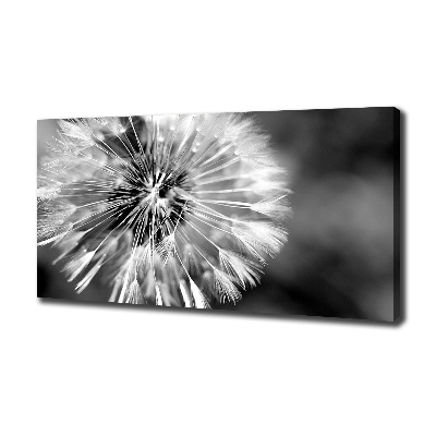 Canvas wall art dandelions