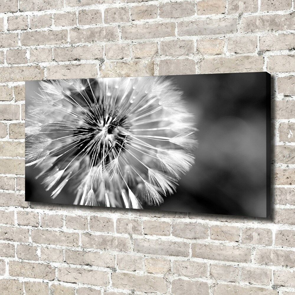 Canvas wall art dandelions