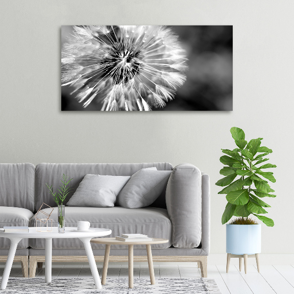 Canvas wall art dandelions