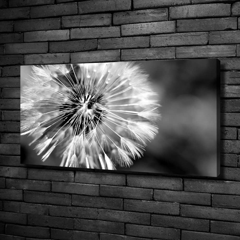 Canvas wall art dandelions