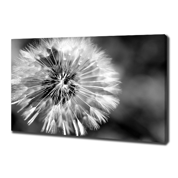 Canvas wall art dandelions