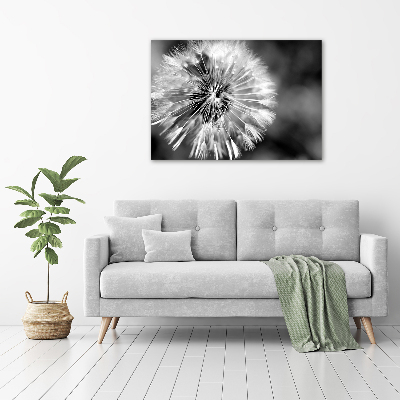 Canvas wall art dandelions