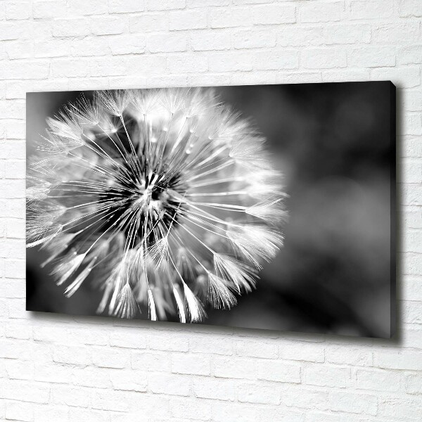 Canvas wall art dandelions