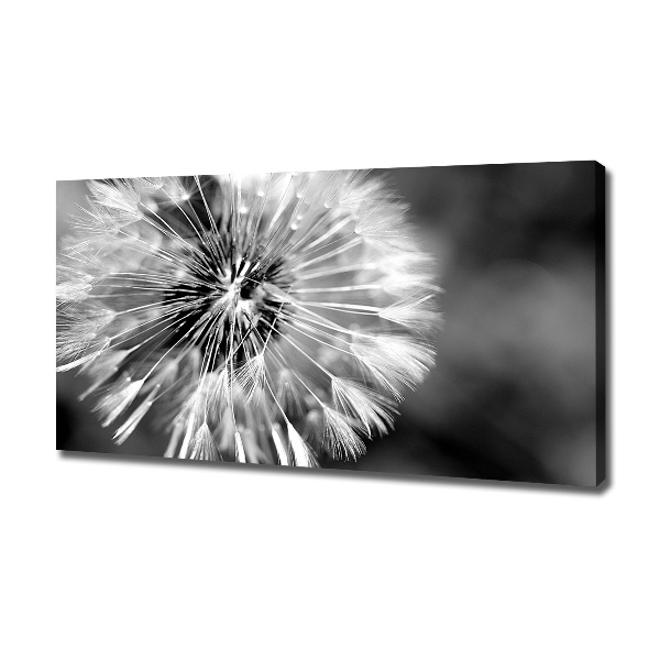 Canvas wall art dandelions