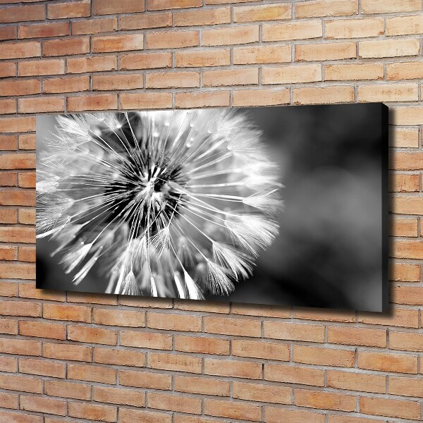 Canvas wall art dandelions