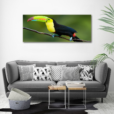 Canvas wall art Toucan