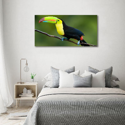 Canvas wall art Toucan