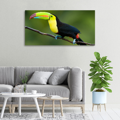 Canvas wall art Toucan