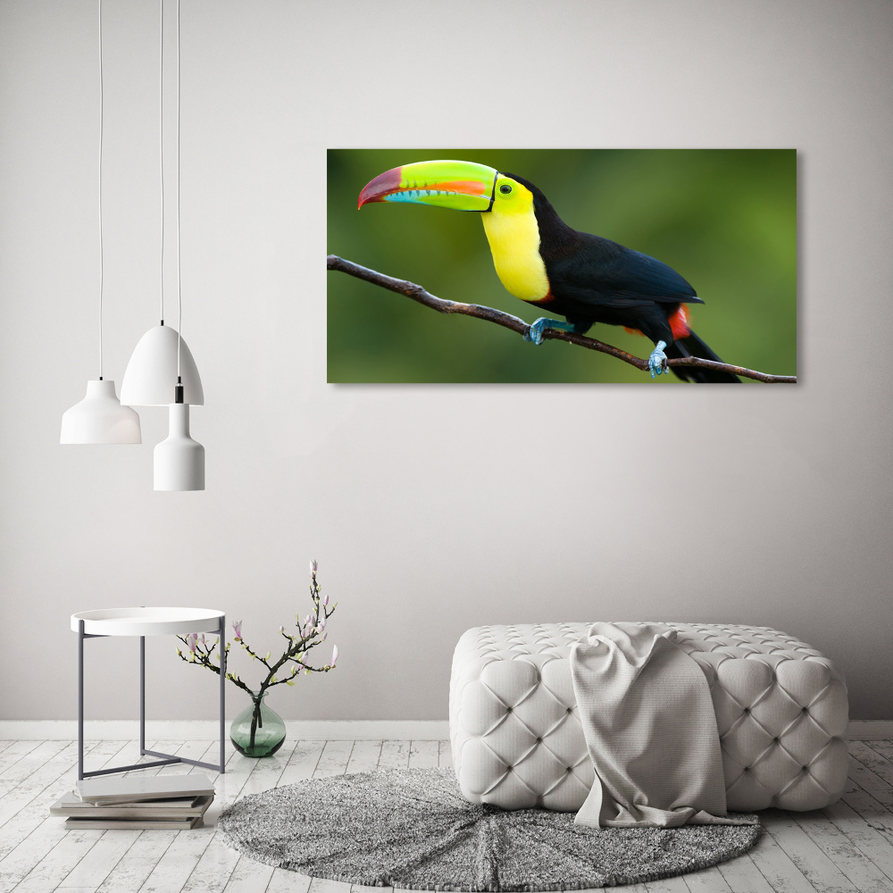 Canvas wall art Toucan