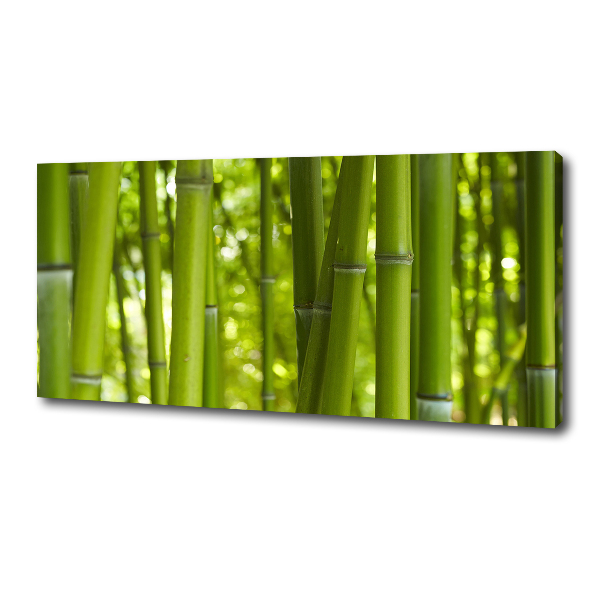 Canvas wall art Bamboo