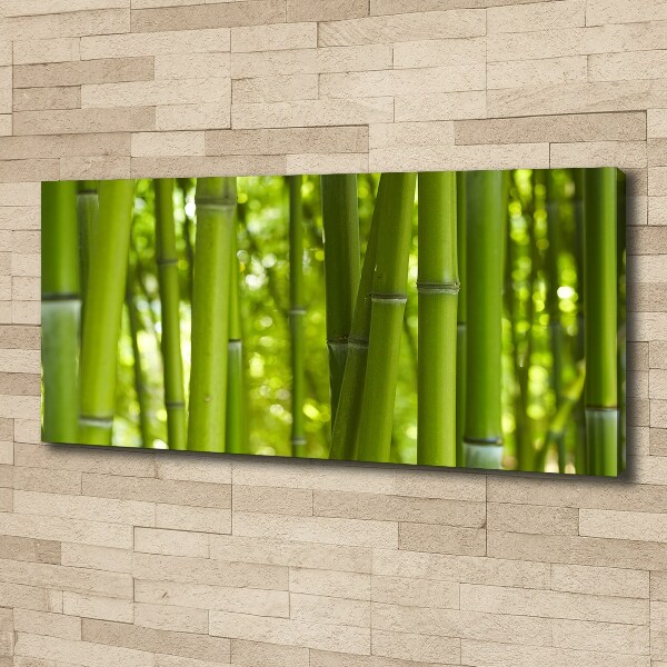 Canvas wall art Bamboo