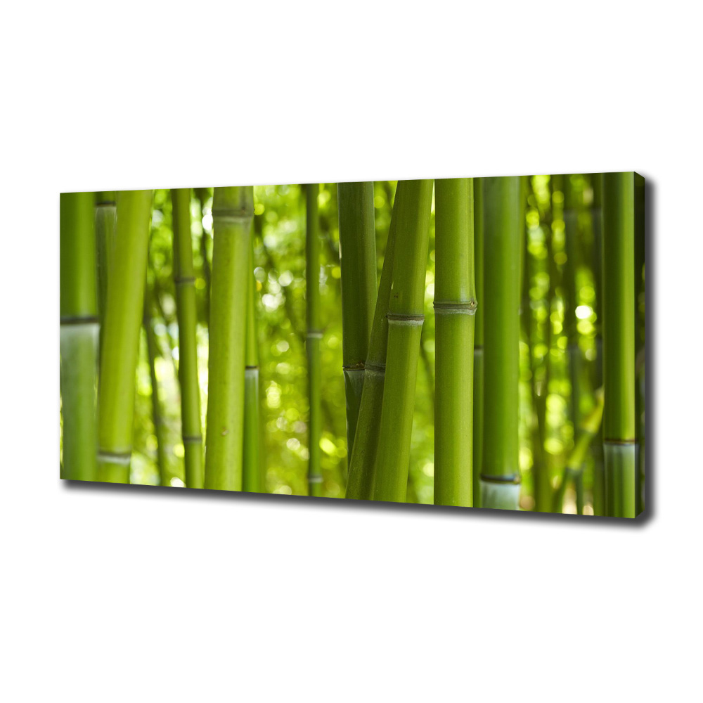 Canvas wall art Bamboo