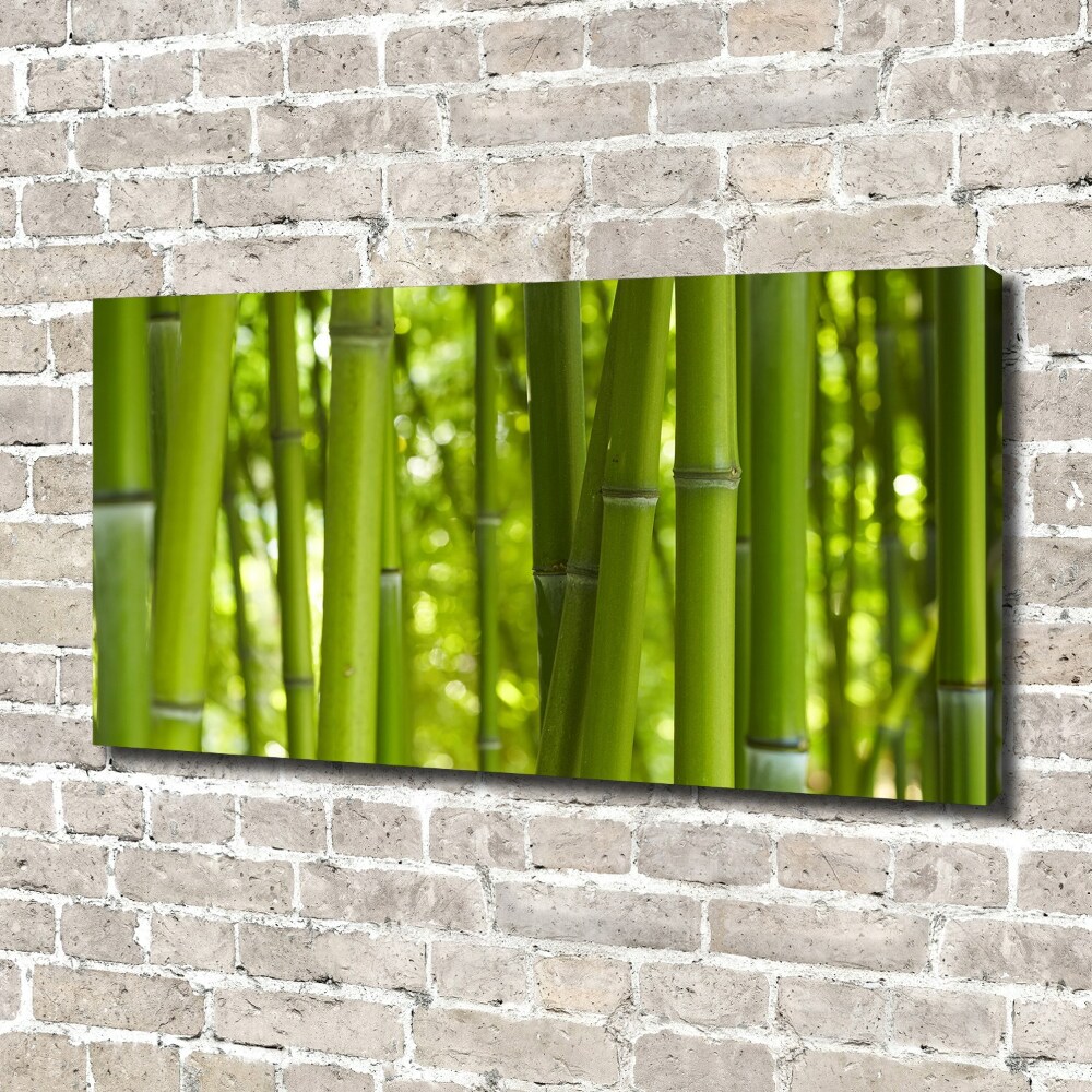 Canvas wall art Bamboo