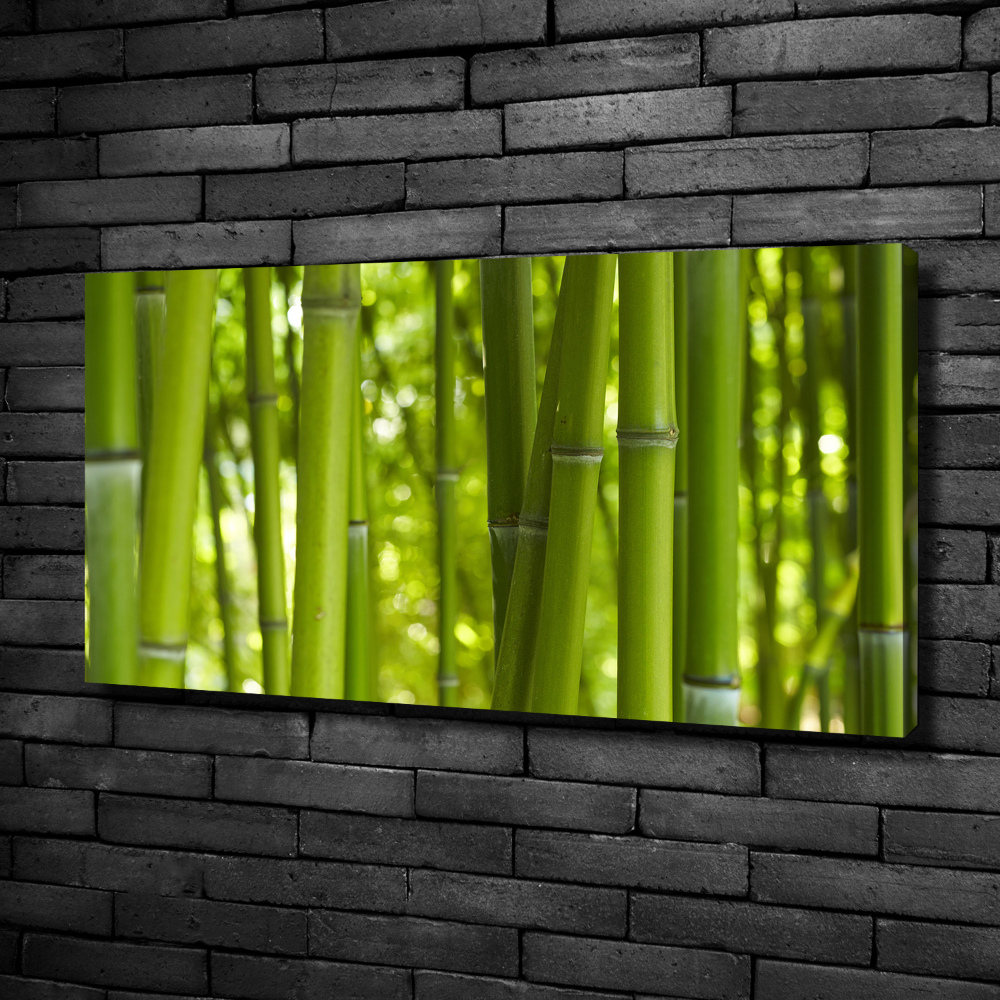 Canvas wall art Bamboo