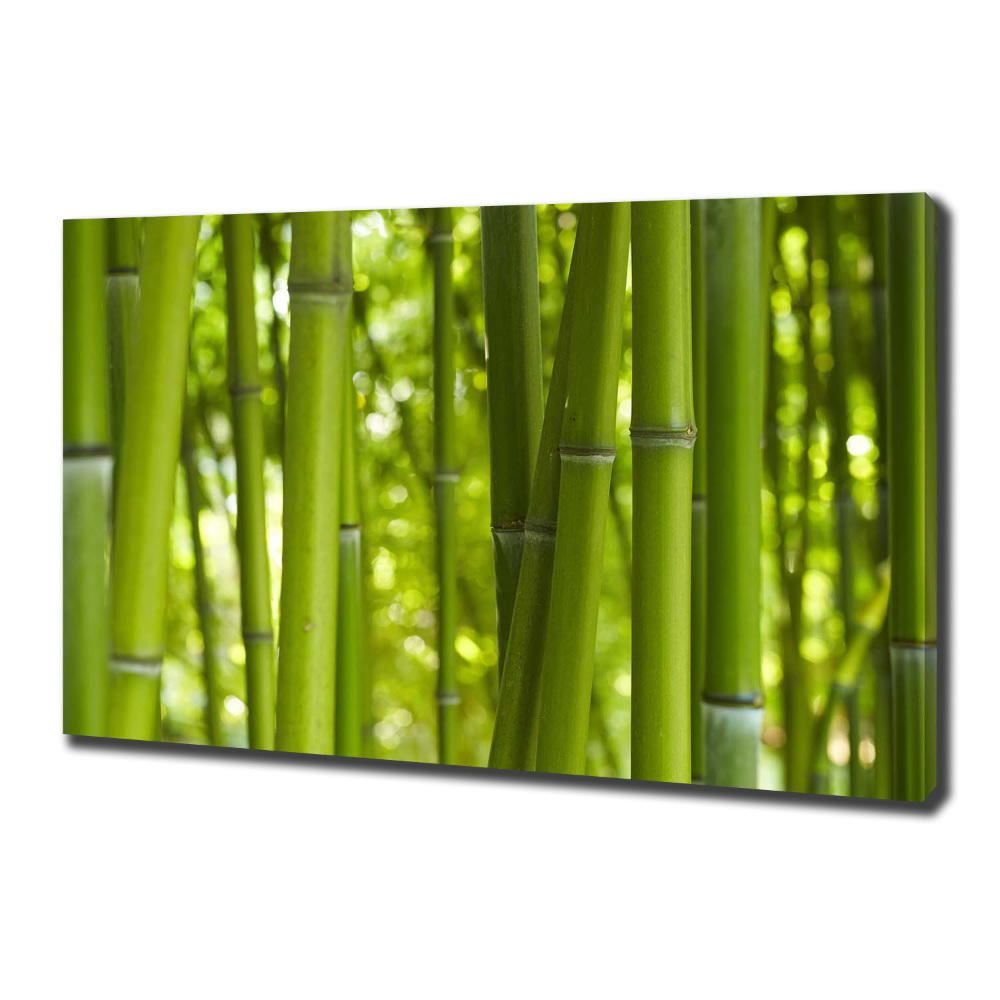 Canvas wall art Bamboo