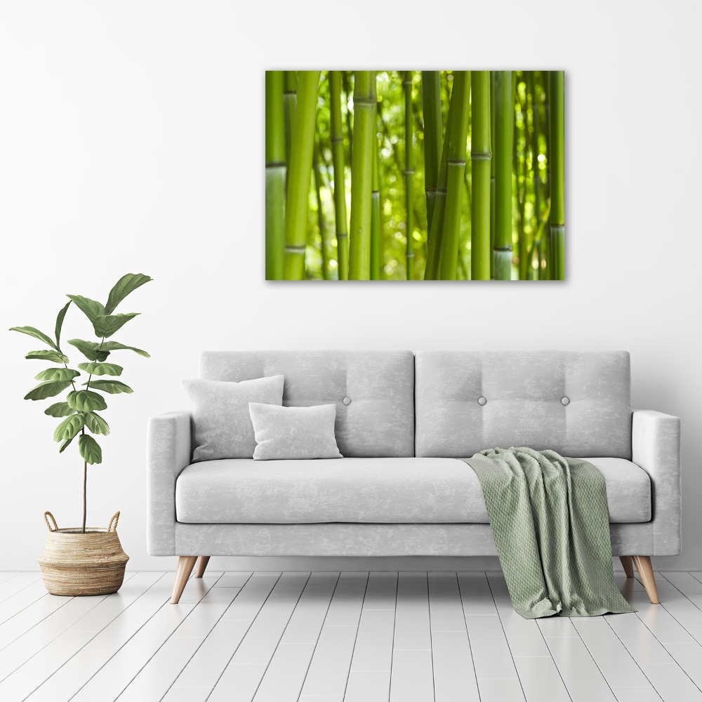 Canvas wall art Bamboo