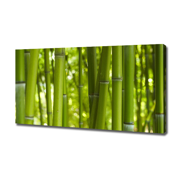 Canvas wall art Bamboo